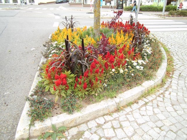 Traveler Digital Camera